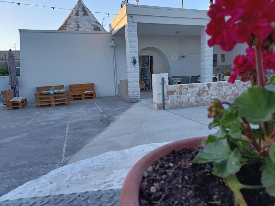Rosalilli Holiday home