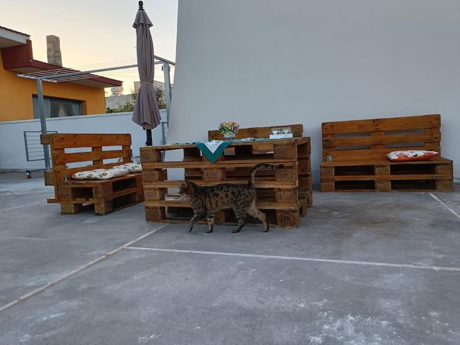 Holiday home Rosalilli